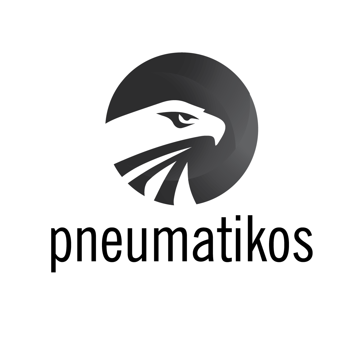 Pneumatikos International